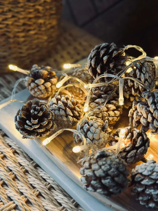 Lichterkette mit kleinen Zapfen