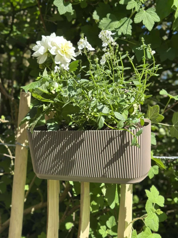 Pflanzkasten mit Aufhängung - Beige