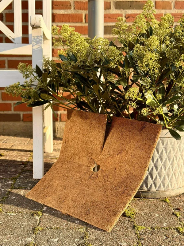 Pflanzenschutz Kokos - Set mit 3 Stück