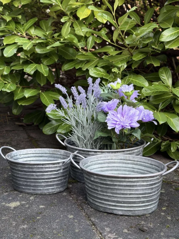 Zinkschalen - Set mit 3 Stk. hellem Rand