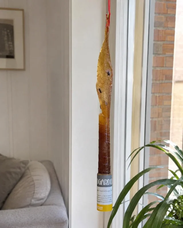 Insektentape - Packung mit 8 Stk.