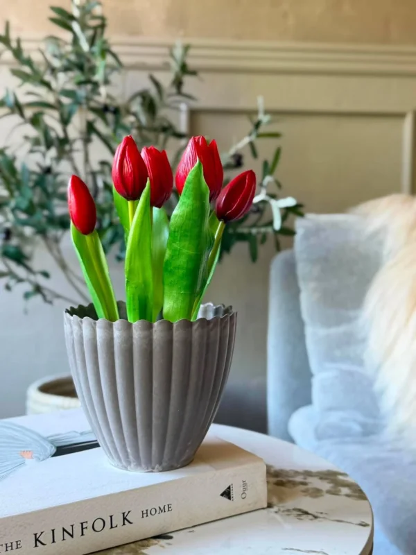 Tulpe im Topf - Rot mit 5 Blüten