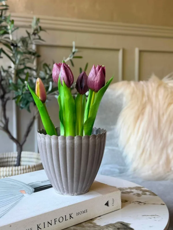 Tulpe im Topf - Lila mit 5 Blüten